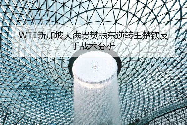 WTT新加坡大满贯樊振东逆转王楚钦反手战术分析